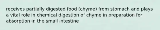 receives partially digested food (chyme) from stomach and plays a vital role in chemical digestion of chyme in preparation for absorption in the small intestine