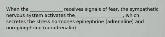 When the ______________ receives signals of fear, the sympathetic nervous system activates the ____________________, which secretes the stress hormones epinephrine (adrenaline) and norepinephrine (noradrenalin)