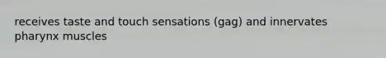 receives taste and touch sensations (gag) and innervates pharynx muscles