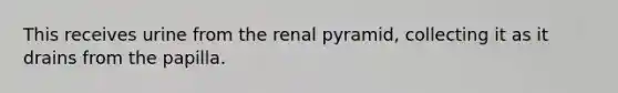 This receives urine from the renal pyramid, collecting it as it drains from the papilla.