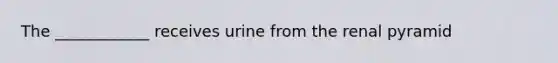 The ____________ receives urine from the renal pyramid
