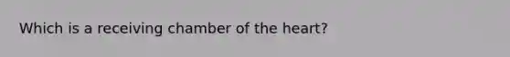 Which is a receiving chamber of the heart?