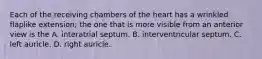Each of the receiving chambers of the heart has a wrinkled flaplike extension; the one that is more visible from an anterior view is the A. interatrial septum. B. interventricular septum. C. left auricle. D. right auricle.