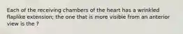 Each of the receiving chambers of the heart has a wrinkled flaplike extension; the one that is more visible from an anterior view is the ?