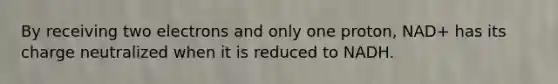 By receiving two electrons and only one proton, NAD+ has its charge neutralized when it is reduced to NADH.