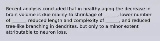 Recent analysis concluded that in healthy aging the decrease in brain volume is due mainly to shrinkage of ______, lower number of ______, reduced length and complexity of ______, and reduced tree-like branching in dendrites, but only to a minor extent attributable to neuron loss.