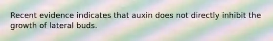 Recent evidence indicates that auxin does not directly inhibit the growth of lateral buds.