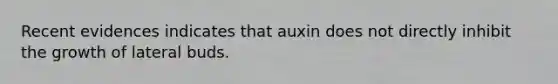 Recent evidences indicates that auxin does not directly inhibit the growth of lateral buds.