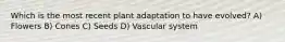 Which is the most recent plant adaptation to have evolved? A) Flowers B) Cones C) Seeds D) Vascular system