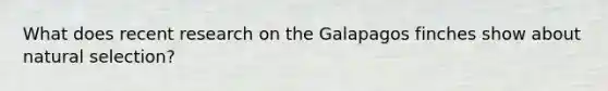 What does recent research on the Galapagos finches show about natural selection?
