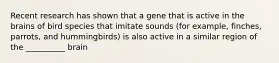 Recent research has shown that a gene that is active in the brains of bird species that imitate sounds (for example, finches, parrots, and hummingbirds) is also active in a similar region of the __________ brain