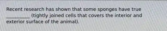 Recent research has shown that some sponges have true __________ (tightly joined cells that covers the interior and exterior surface of the animal).