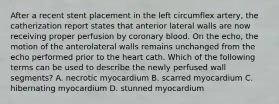 After a recent stent placement in the left circumflex artery, the catherization report states that anterior lateral walls are now receiving proper perfusion by coronary blood. On the echo, the motion of the anterolateral walls remains unchanged from the echo performed prior to the heart cath. Which of the following terms can be used to describe the newly perfused wall segments? A. necrotic myocardium B. scarred myocardium C. hibernating myocardium D. stunned myocardium