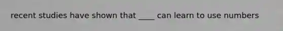 recent studies have shown that ____ can learn to use numbers