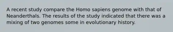 A recent study compare the Homo sapiens genome with that of Neanderthals. The results of the study indicated that there was a mixing of two genomes some in evolutionary history.