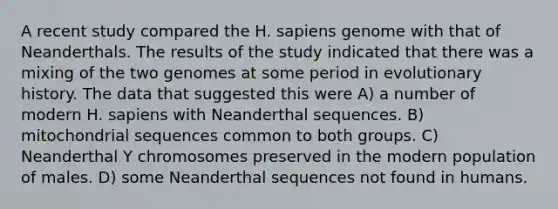 A recent study compared the H. sapiens genome with that of Neanderthals. The results of the study indicated that there was a mixing of the two genomes at some period in evolutionary history. The data that suggested this were A) a number of modern H. sapiens with Neanderthal sequences. B) mitochondrial sequences common to both groups. C) Neanderthal Y chromosomes preserved in the modern population of males. D) some Neanderthal sequences not found in humans.