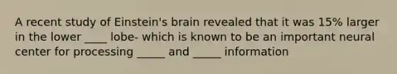 A recent study of Einstein's brain revealed that it was 15% larger in the lower ____ lobe- which is known to be an important neural center for processing _____ and _____ information