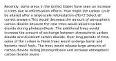 Recently, some areas in the United States have seen an increase in trees due to reforestation efforts. How might the carbon cycle be altered after a large-scale reforestation effort? Select all correct answers.This would decrease the amount of atmospheric carbon dioxide because the new trees would absorb carbon dioxide during photosynthesis. The additional trees would increase the amount of exchange between atmospheric carbon dioxide and dissolved carbon dioxide. Over long periods of time, some of the carbon in these trees would undergo burial and become fossil fuels. The trees would release large amounts of carbon dioxide during photosynthesis and increase atmospheric carbon dioxide levels.