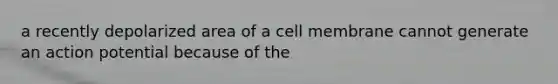 a recently depolarized area of a cell membrane cannot generate an action potential because of the