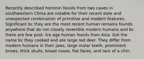 Recently described hominin fossils from two caves in southwestern China are notable for their recent date and unexpected combination of primitive and modern features. Significant bc they are the most recent human remains founds anywhere that do not closely resemble modern humans and bc there are few post- Ice age human fossils from Asia. Got the name bc they cooked and ate large red deer. They differ from modern humans in their jaws, large molar teeth, prominent brows, thick skulls, broad noses, flat faces, and lack of a chin.