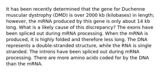 It has been recently determined that the gene for Duchenne muscular dystrophy (DMD) is over 2000 kb (kilobases) in length; however, the mRNA produced by this gene is only about 14 kb long. What is a likely cause of this discrepancy? The exons have been spliced out during m<a href='https://www.questionai.com/knowledge/kapY3KpASG-rna-processing' class='anchor-knowledge'>rna processing</a>. When the mRNA is produced, it is highly folded and therefore less long. The DNA represents a double-stranded structure, while the RNA is single stranded. The introns have been spliced out during mRNA processing. There are more <a href='https://www.questionai.com/knowledge/k9gb720LCl-amino-acids' class='anchor-knowledge'>amino acids</a> coded for by the DNA than the mRNA.