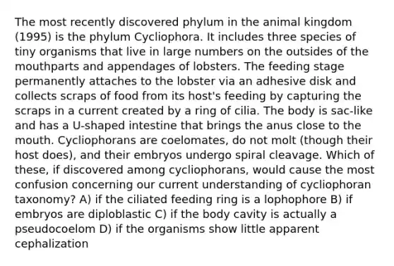 The most recently discovered phylum in the animal kingdom (1995) is the phylum Cycliophora. It includes three species of tiny organisms that live in large numbers on the outsides of <a href='https://www.questionai.com/knowledge/krBoWYDU6j-the-mouth' class='anchor-knowledge'>the mouth</a>parts and appendages of lobsters. The feeding stage permanently attaches to the lobster via an adhesive disk and collects scraps of food from its host's feeding by capturing the scraps in a current created by a ring of cilia. The body is sac-like and has a U-shaped intestine that brings the anus close to the mouth. Cycliophorans are coelomates, do not molt (though their host does), and their embryos undergo spiral cleavage. Which of these, if discovered among cycliophorans, would cause the most confusion concerning our current understanding of cycliophoran taxonomy? A) if the ciliated feeding ring is a lophophore B) if embryos are diploblastic C) if the body cavity is actually a pseudocoelom D) if the organisms show little apparent cephalization