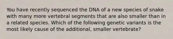 You have recently sequenced the DNA of a new species of snake with many more vertebral segments that are also smaller than in a related species. Which of the following genetic variants is the most likely cause of the additional, smaller vertebrate?