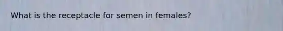 What is the receptacle for semen in females?