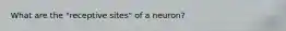 What are the "receptive sites" of a neuron?