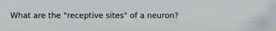 What are the "receptive sites" of a neuron?