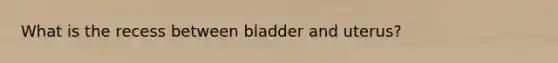 What is the recess between bladder and uterus?