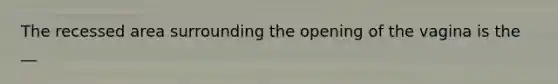 The recessed area surrounding the opening of the vagina is the __