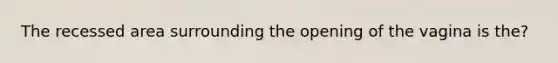 The recessed area surrounding the opening of the vagina is the?