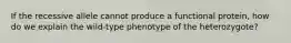 If the recessive allele cannot produce a functional protein, how do we explain the wild-type phenotype of the heterozygote?