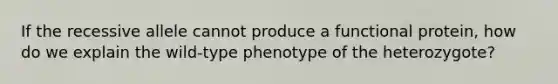 If the recessive allele cannot produce a functional protein, how do we explain the wild-type phenotype of the heterozygote?