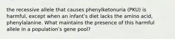 the recessive allele that causes phenylketonuria (PKU) is harmful, except when an infantʹs diet lacks the amino acid, phenylalanine. What maintains the presence of this harmful allele in a populationʹs gene pool?