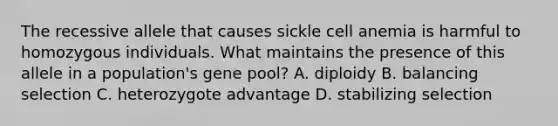 The recessive allele that causes sickle cell anemia is harmful to homozygous individuals. What maintains the presence of this allele in a population's gene pool? A. diploidy B. balancing selection C. heterozygote advantage D. stabilizing selection