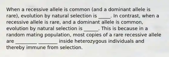 When a recessive allele is common (and a dominant allele is rare), evolution by natural selection is _____. In contrast, when a recessive allele is rare, and a dominant allele is common, evolution by natural selection is ______. This is because in a random mating population, most copies of a rare recessive allele are _________ ________ inside heterozygous individuals and thereby immune from selection.