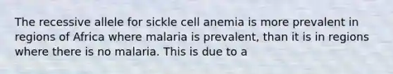 The recessive allele for sickle cell anemia is more prevalent in regions of Africa where malaria is prevalent, than it is in regions where there is no malaria. This is due to a