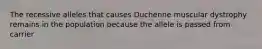 The recessive alleles that causes Duchenne muscular dystrophy remains in the population because the allele is passed from carrier