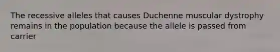 The recessive alleles that causes Duchenne muscular dystrophy remains in the population because the allele is passed from carrier