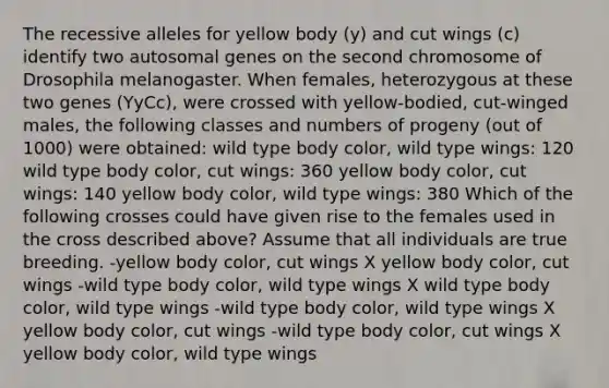 The recessive alleles for yellow body (y) and cut wings (c) identify two autosomal genes on the second chromosome of Drosophila melanogaster. When females, heterozygous at these two genes (YyCc), were crossed with yellow-bodied, cut-winged males, the following classes and numbers of progeny (out of 1000) were obtained: wild type body color, wild type wings: 120 wild type body color, cut wings: 360 yellow body color, cut wings: 140 yellow body color, wild type wings: 380 Which of the following crosses could have given rise to the females used in the cross described above? Assume that all individuals are true breeding. -yellow body color, cut wings X yellow body color, cut wings -wild type body color, wild type wings X wild type body color, wild type wings -wild type body color, wild type wings X yellow body color, cut wings -wild type body color, cut wings X yellow body color, wild type wings