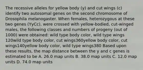 The recessive alleles for yellow body (y) and cut wings (c) identify two autosomal genes on the second chromosome of Drosophila melanogaster. When females, heterozygous at these two genes (YyCc), were crossed with yellow-bodied, cut-winged males, the following classes and numbers of progeny (out of 1000) were obtained: wild type body color, wild type wings 120wild type body color, cut wings360yellow body color, cut wings140yellow body color, wild type wings380 Based upon these results, the map distance between the y and c genes is estimated to be A. 26.0 map units B. 38.0 map units C. 12.0 map units D. 74.0 map units