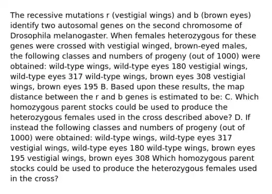 The recessive mutations r (vestigial wings) and b (brown eyes) identify two autosomal genes on the second chromosome of Drosophila melanogaster. When females heterozygous for these genes were crossed with vestigial winged, brown-eyed males, the following classes and numbers of progeny (out of 1000) were obtained: wild-type wings, wild-type eyes 180 vestigial wings, wild-type eyes 317 wild-type wings, brown eyes 308 vestigial wings, brown eyes 195 B. Based upon these results, the map distance between the r and b genes is estimated to be: C. Which homozygous parent stocks could be used to produce the heterozygous females used in the cross described above? D. If instead the following classes and numbers of progeny (out of 1000) were obtained: wild-type wings, wild-type eyes 317 vestigial wings, wild-type eyes 180 wild-type wings, brown eyes 195 vestigial wings, brown eyes 308 Which homozygous parent stocks could be used to produce the heterozygous females used in the cross?