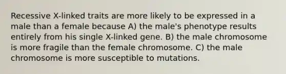 Recessive X-linked traits are more likely to be expressed in a male than a female because A) the male's phenotype results entirely from his single X-linked gene. B) the male chromosome is more fragile than the female chromosome. C) the male chromosome is more susceptible to mutations.