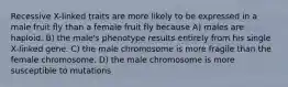 Recessive X-linked traits are more likely to be expressed in a male fruit fly than a female fruit fly because A) males are haploid. B) the male's phenotype results entirely from his single X-linked gene. C) the male chromosome is more fragile than the female chromosome. D) the male chromosome is more susceptible to mutations