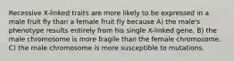 Recessive X-linked traits are more likely to be expressed in a male fruit fly than a female fruit fly because A) the male's phenotype results entirely from his single X-linked gene. B) the male chromosome is more fragile than the female chromosome. C) the male chromosome is more susceptible to mutations.