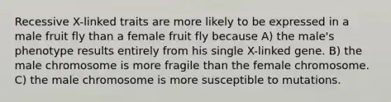 Recessive X-linked traits are more likely to be expressed in a male fruit fly than a female fruit fly because A) the male's phenotype results entirely from his single X-linked gene. B) the male chromosome is more fragile than the female chromosome. C) the male chromosome is more susceptible to mutations.