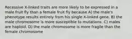 Recessive X-linked traits are more likely to be expressed in a male fruit fly than a female fruit fly because A) the male's phenotype results entirely from his single X-linked gene. B) the male chromosome is more susceptible to mutations. C) males are haploid. D) the male chromosome is more fragile than the female chromosome