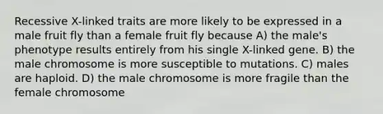 Recessive X-linked traits are more likely to be expressed in a male fruit fly than a female fruit fly because A) the male's phenotype results entirely from his single X-linked gene. B) the male chromosome is more susceptible to mutations. C) males are haploid. D) the male chromosome is more fragile than the female chromosome